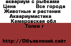 аквариум с рыбками › Цена ­ 1 000 - Все города Животные и растения » Аквариумистика   . Кемеровская обл.,Топки г.